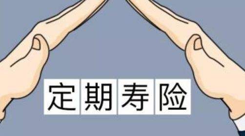 定期壽險適合什么人？